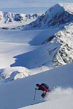 Skiing powder in Atlin